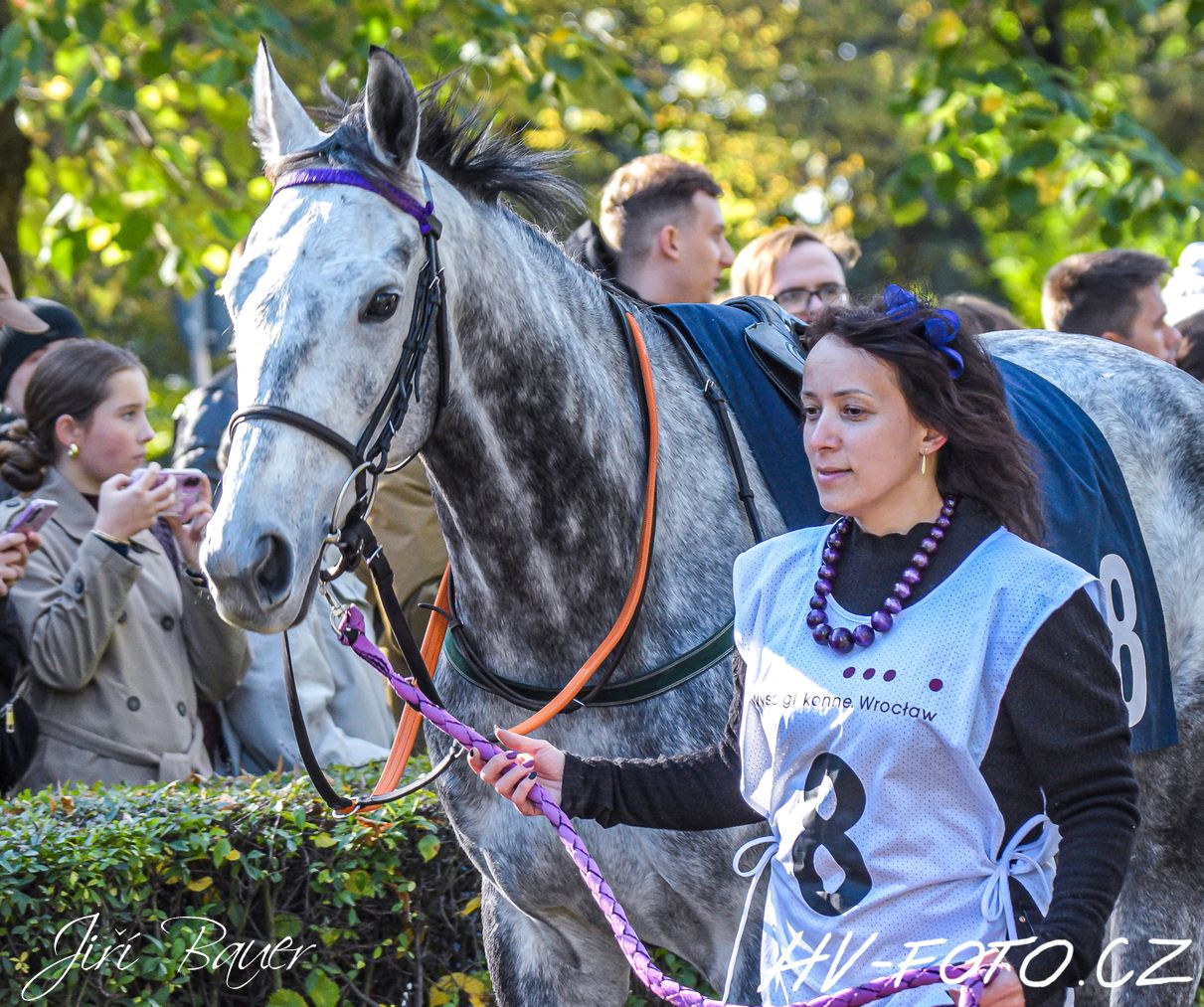 DSC_4779 kopie.jpg